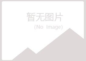 兴山区缠绵培训有限公司